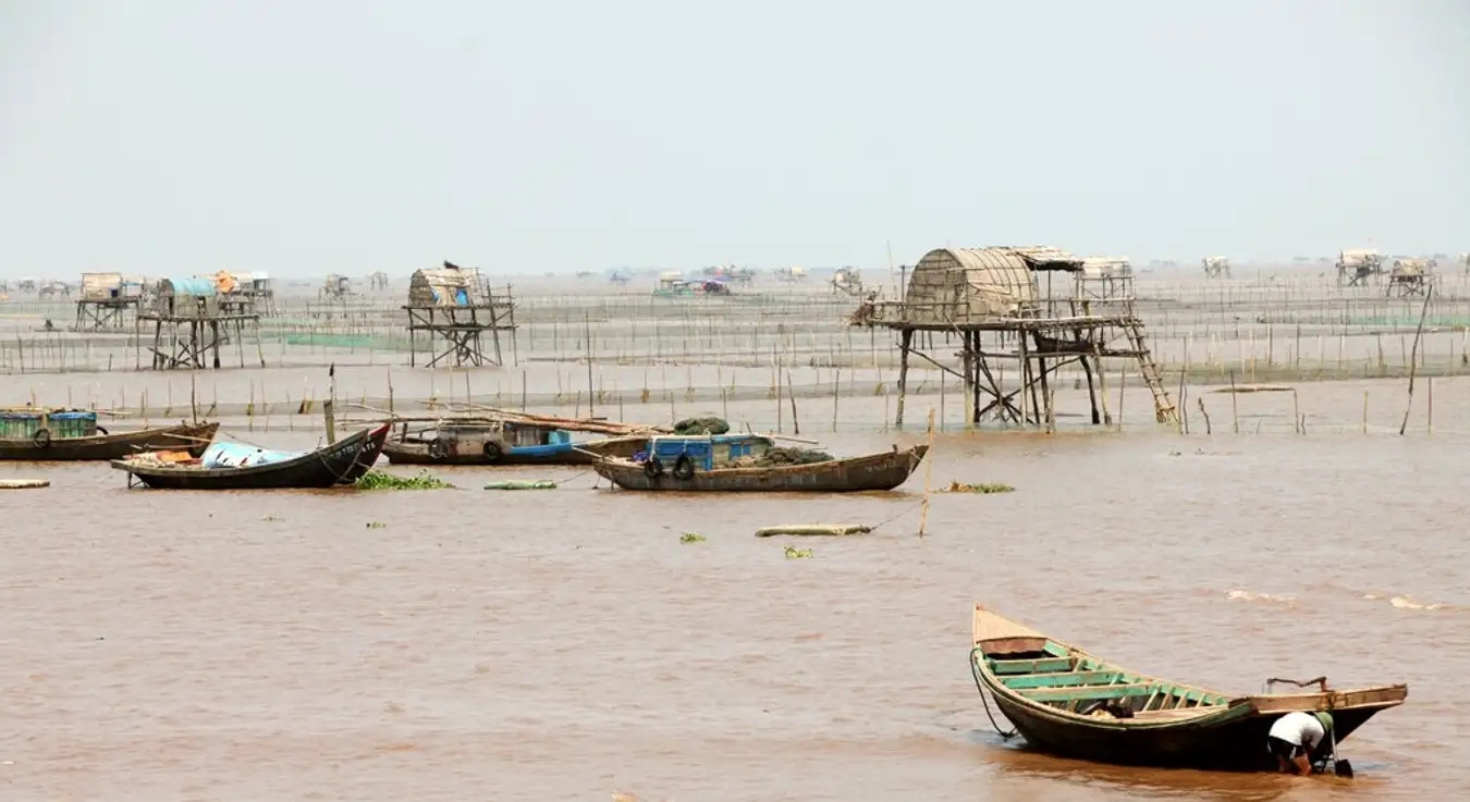 Vườn quốc gia Xuân Thuỷ - nơi xảy ra vụ việc đau lòng. (Ảnh: Internet) Vườn quốc gia Xuân Thuỷ - nơi xảy ra vụ việc đau lòng. (Ảnh: Internet)