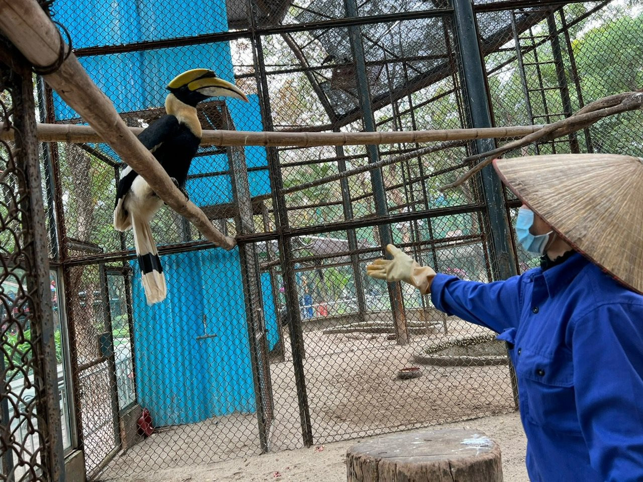 Các loài thú đều được tăng lượng thức ăn khi thời tiết giá rét. Các loài thú đều được tăng lượng thức ăn khi thời tiết giá rét.