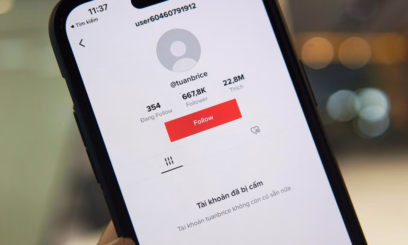 Kênh TikTok @tuanbrice đã bị cấm.