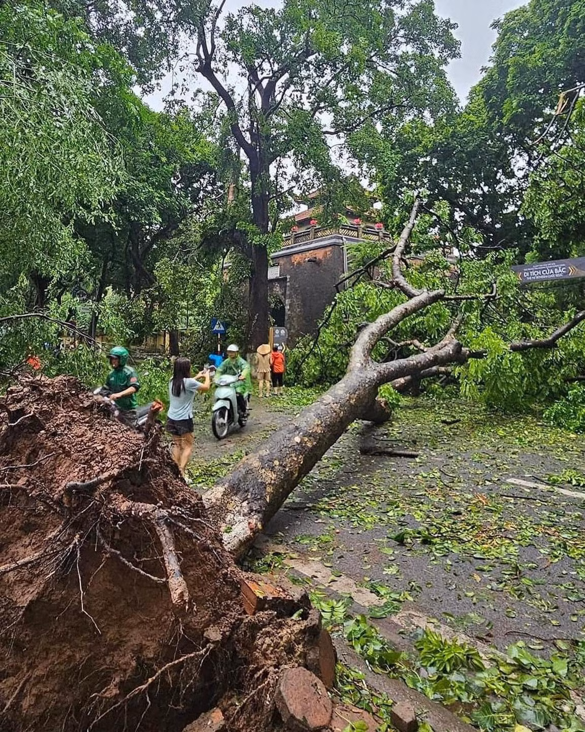 Hình ảnh một số tuyến đường tại Hà Nội cây đổ la liệt. (Ảnh: Hà Nội News) Hình ảnh một số tuyến đường tại Hà Nội cây đổ la liệt. (Ảnh: Hà Nội News)