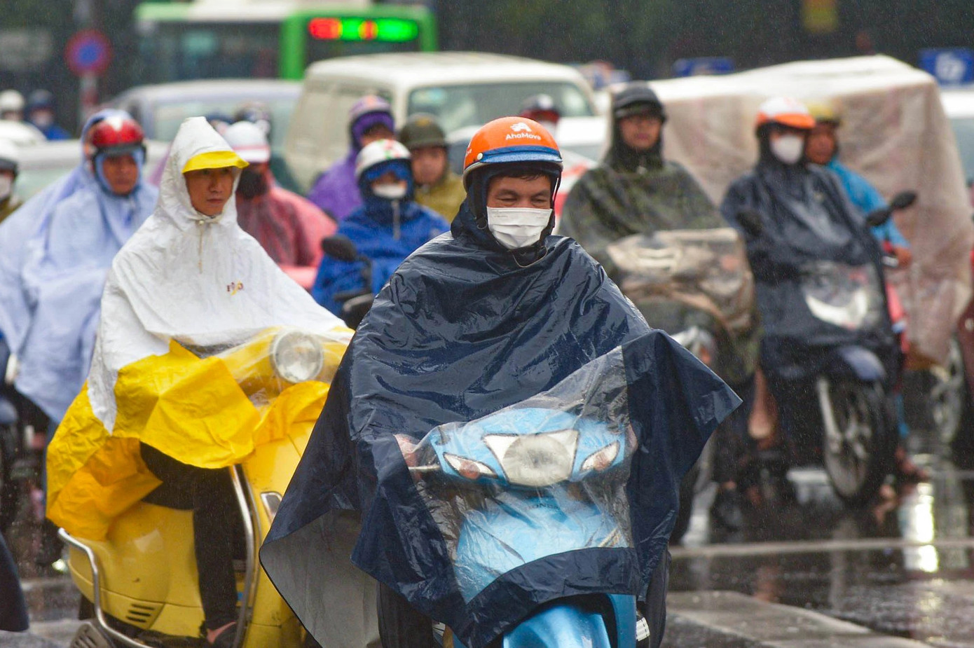 (Ảnh minh hoạ từ Internet)