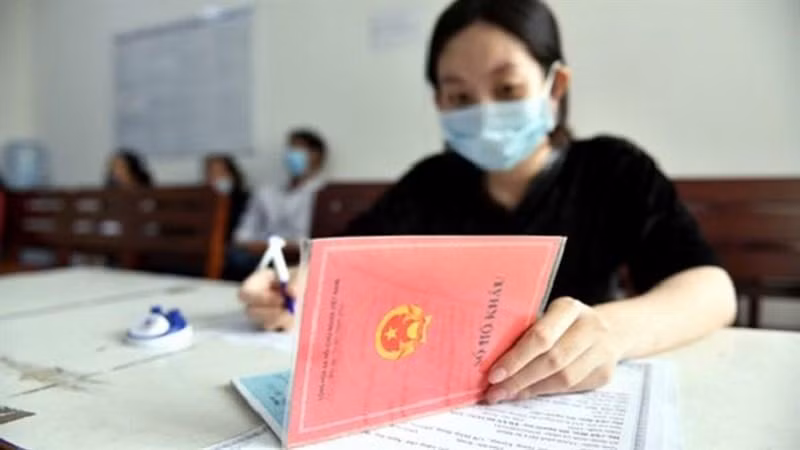 (Ảnh minh hoạ từ Internet)