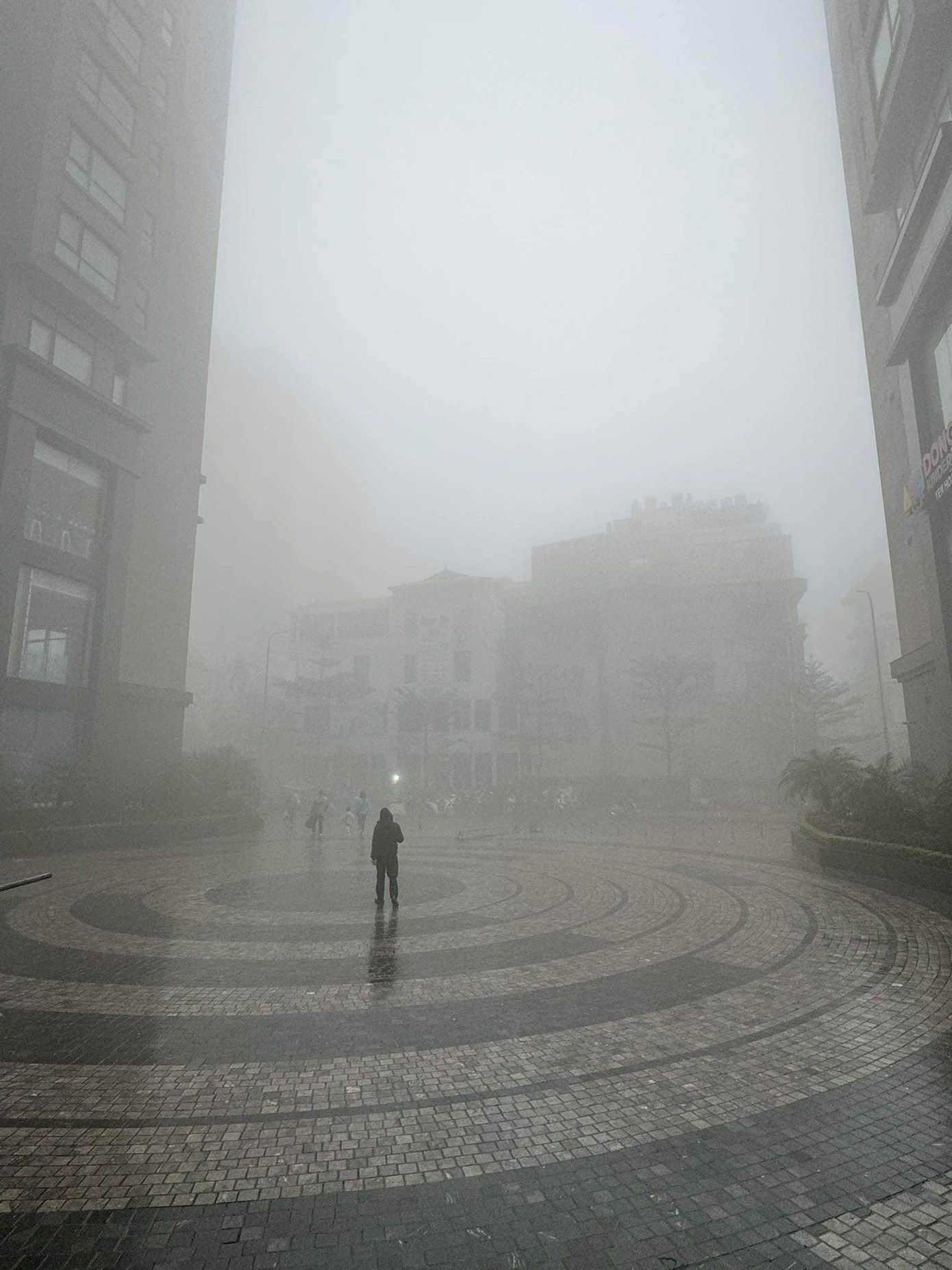 (Ảnh: Hà Nội 24h)