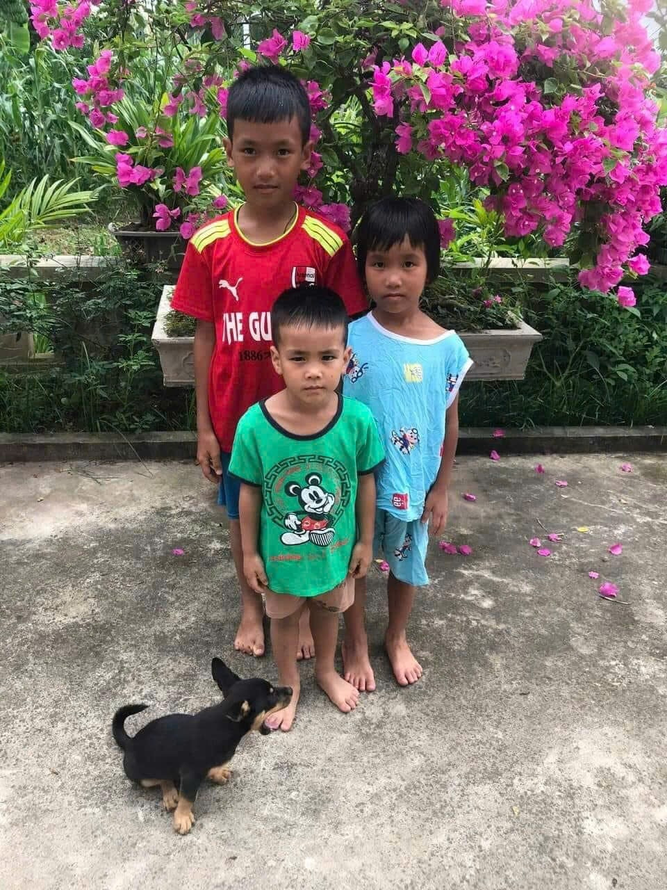 3 em nhỏ mất tích bí ẩn, hiện lực lượng chức năng đang nỗ lực tìm kiếm. 3 em nhỏ mất tích bí ẩn, hiện lực lượng chức năng đang nỗ lực tìm kiếm.