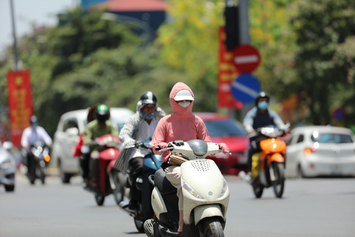 (Ảnh minh hoạ từ Internet)