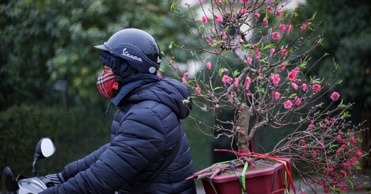 (Ảnh minh họa từ Internet) (Ảnh minh họa từ Internet)