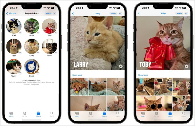 Tính năng nhận dạng ảnh thú cưng hoàn toàn mới trong iOS 17. Tính năng nhận dạng ảnh thú cưng hoàn toàn mới trong iOS 17.