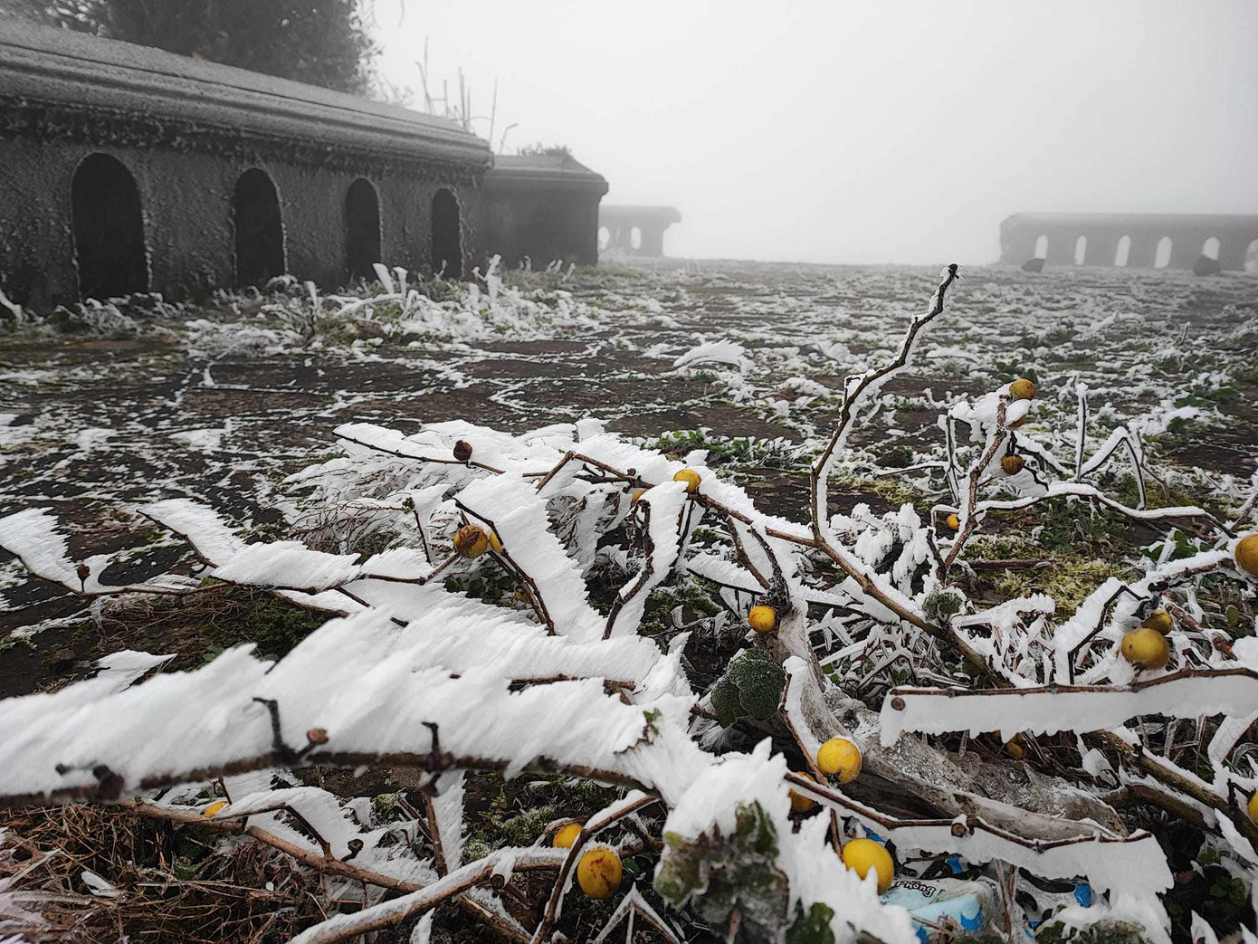 Nhiệt độ thấp kèm theo mưa nhỏ khiến băng giá phủ một lớp rất dày trên khu vực đỉnh Mẫu Sơn. (Ảnh: Nguyễn Minh Chuyển)