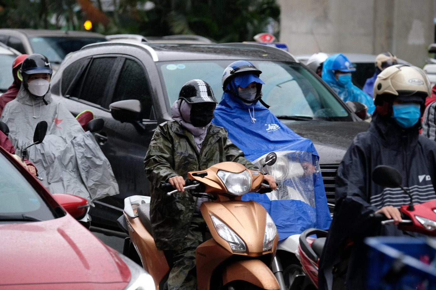 (Ảnh minh hoạ từ Internet) (Ảnh minh hoạ từ Internet)