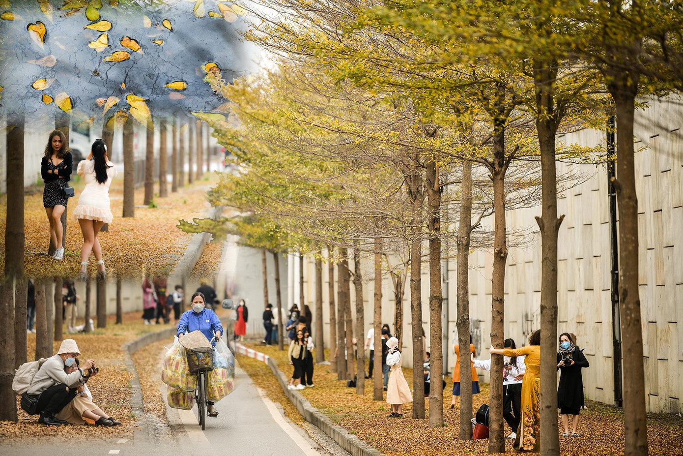 (Ảnh: ANTD) (Ảnh: ANTD)