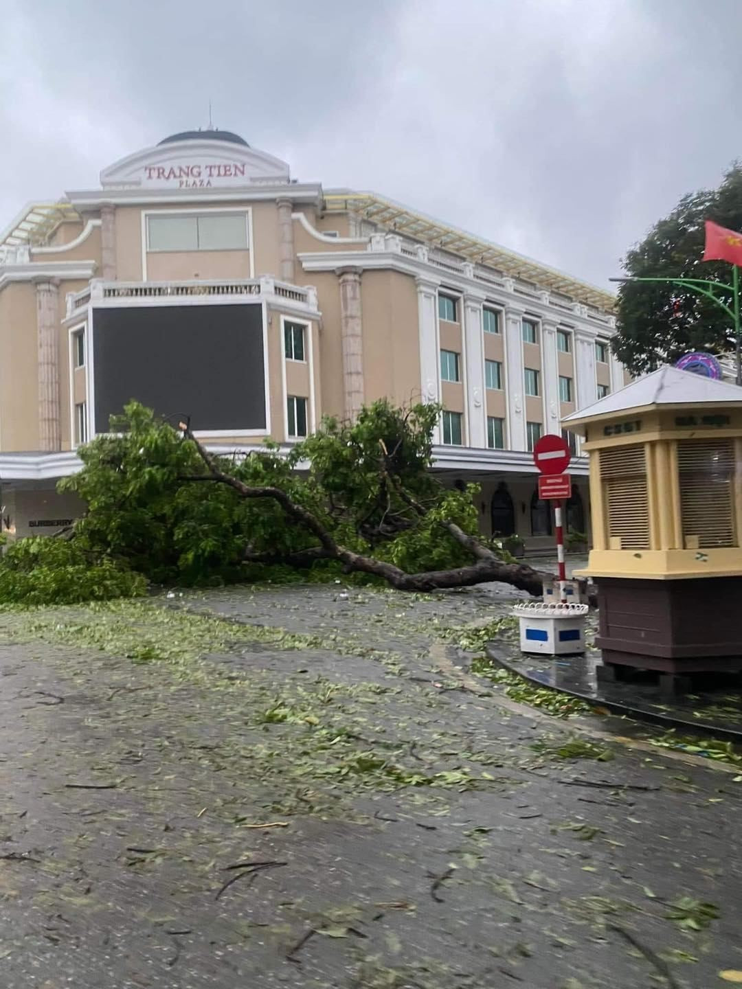 Hình ảnh một số tuyến đường tại Hà Nội cây đổ la liệt. (Ảnh: Hà Nội News)