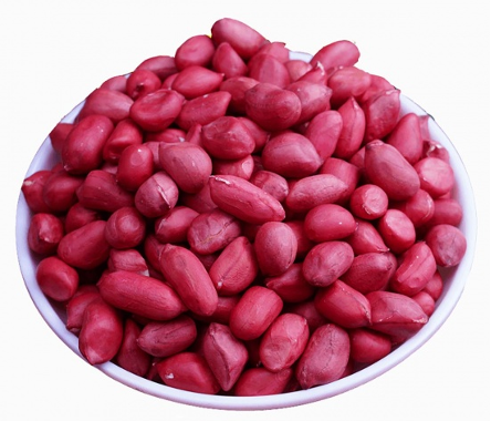 Hạt giống sử dụng trong thi đấu.