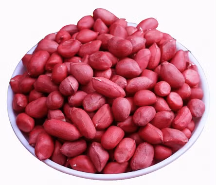 Hạt giống sử dụng trong thi đấu.