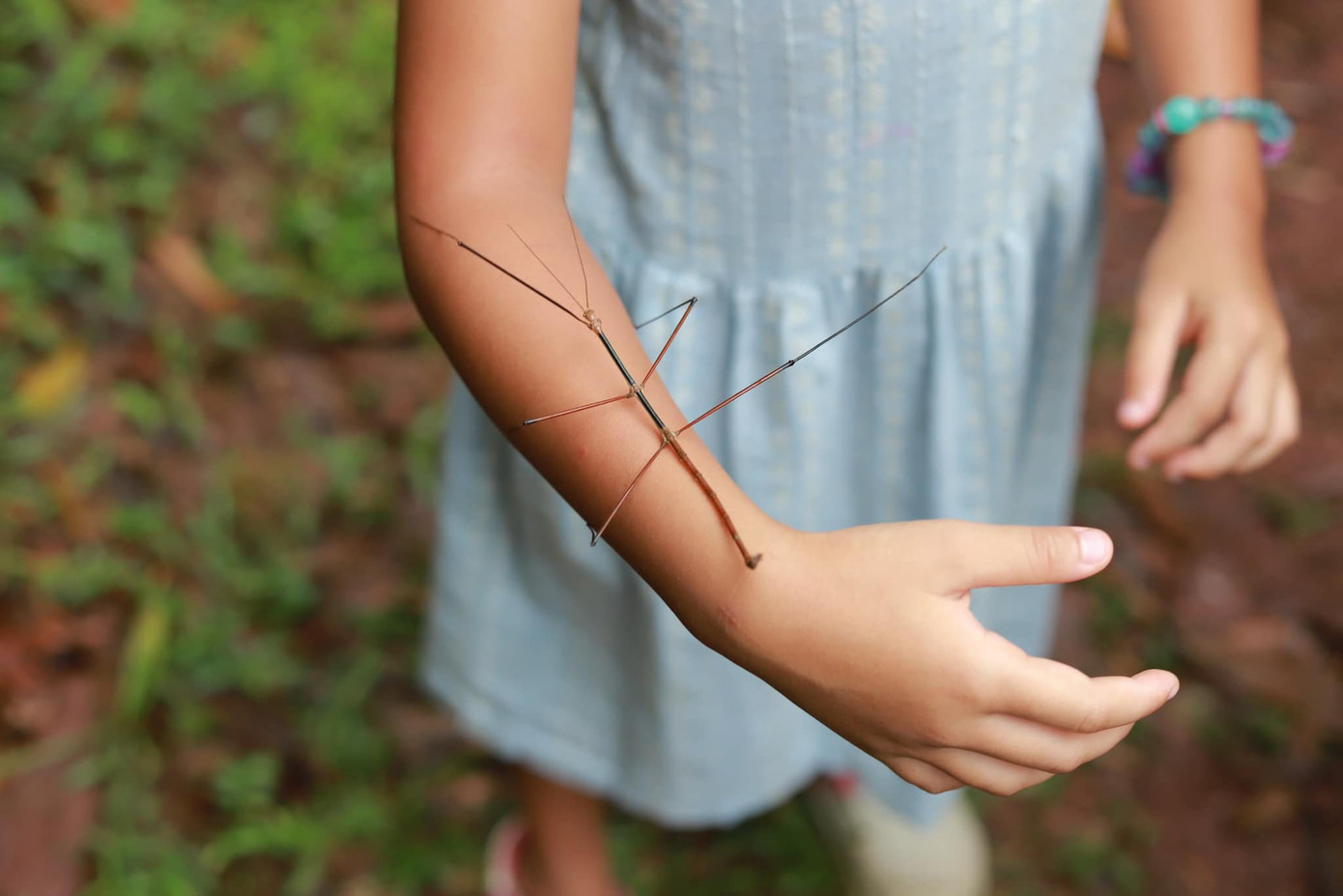 Ảnh: Fanpage Làng Háo Hức.