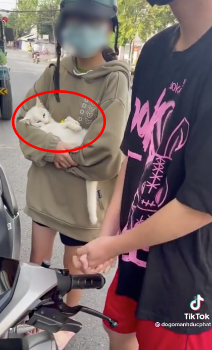 Chú mèo trong trạng thái hấp hối nằm trên tay cô gái trẻ. (Ảnh cắt từ clip)