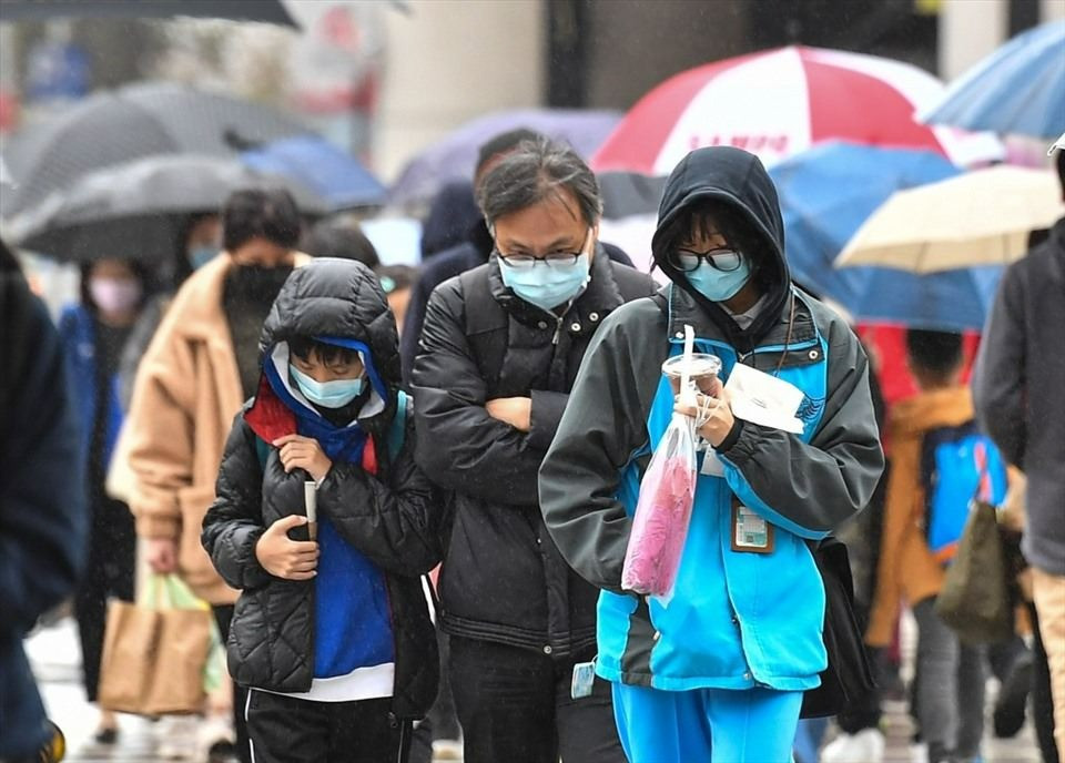 (Ảnh minh họa từ Internet)