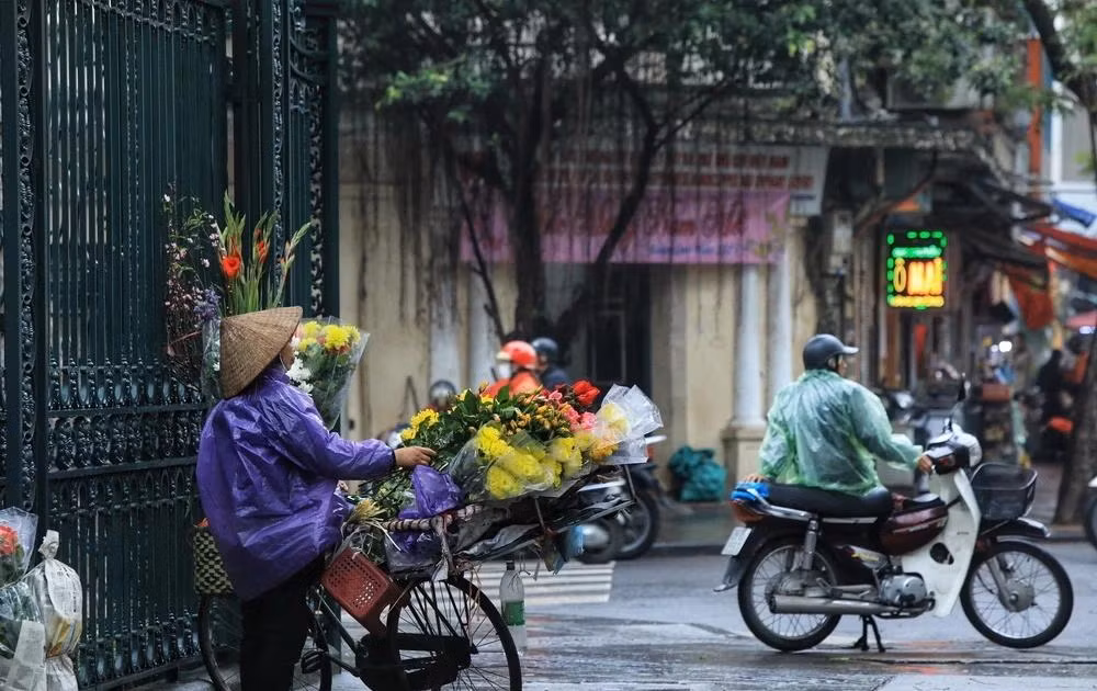 (Ảnh minh họa từ Internet)