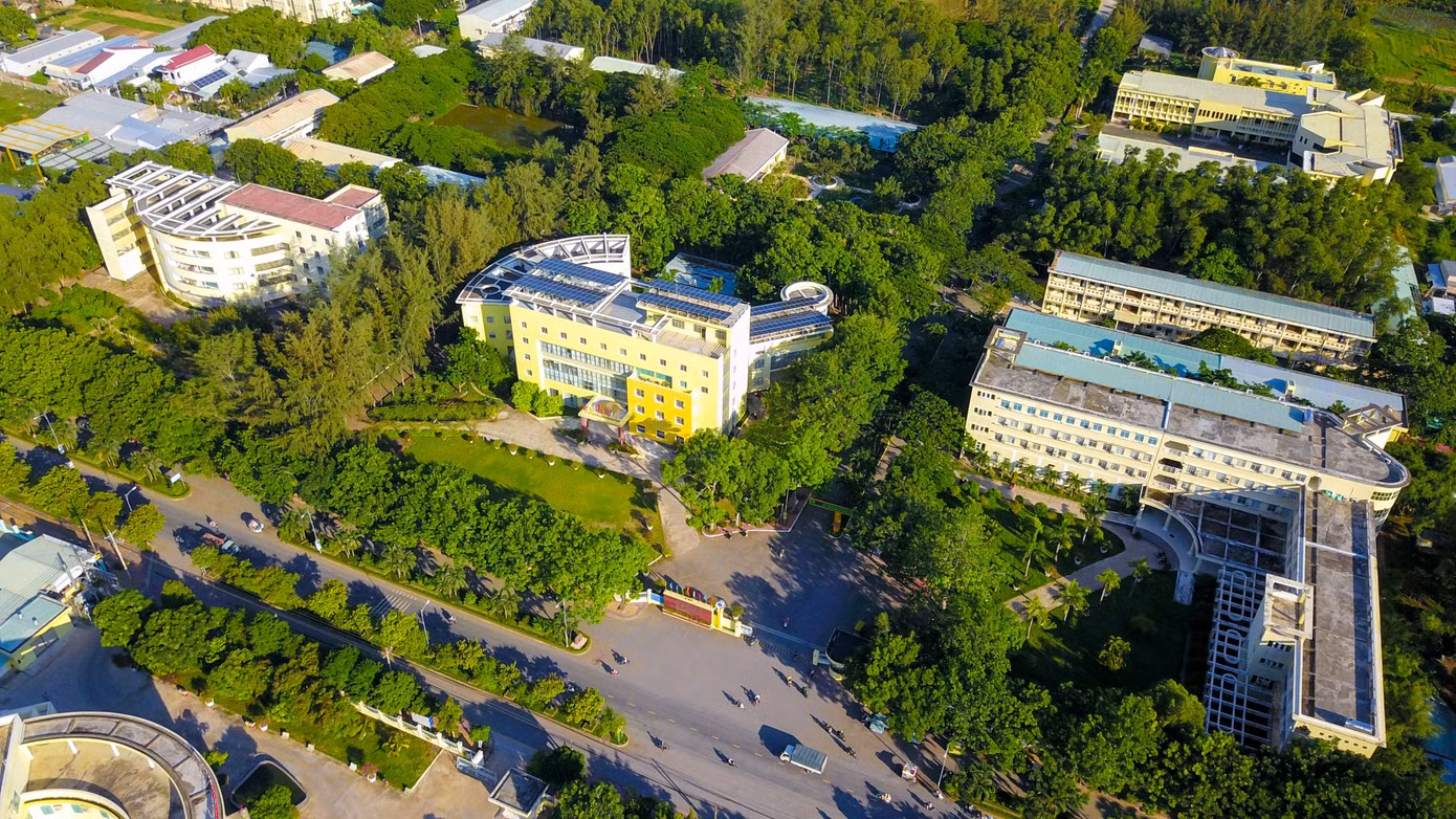 Trường được bao phủ bởi những tán cây xanh mát.