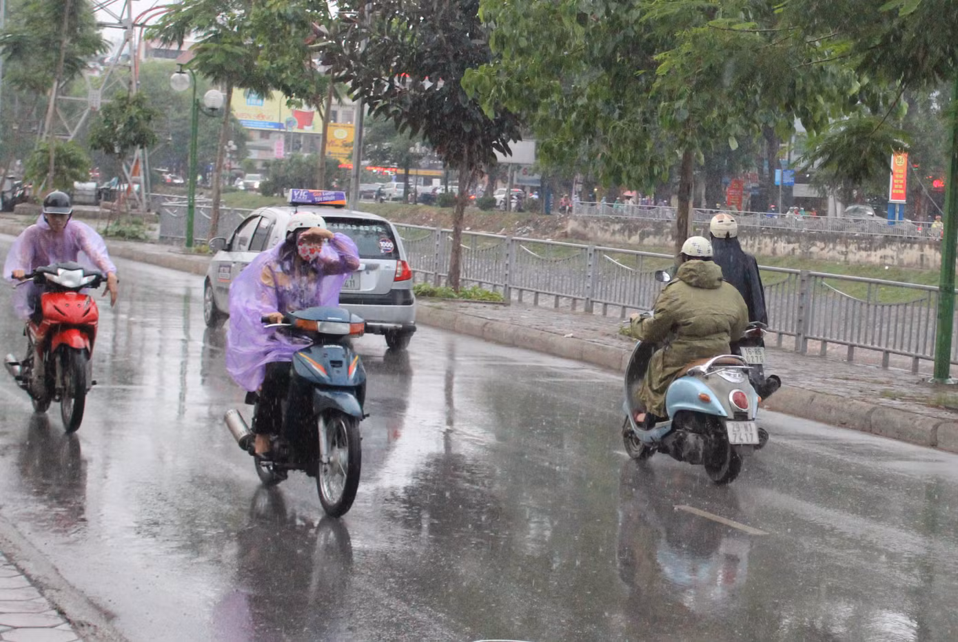 (Ảnh minh hoạ từ Internet)