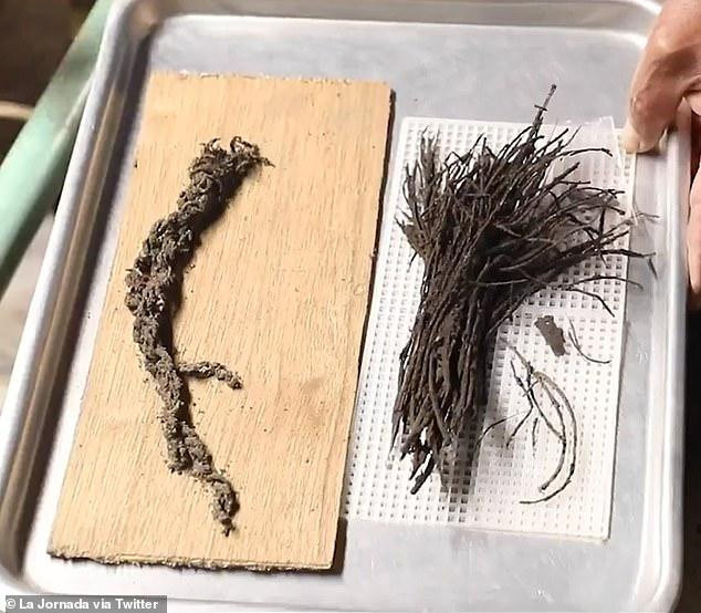 Sau 2000 năm, những bó hoa cũng như những sợi dây buộc vẫn trong tình trạng tốt