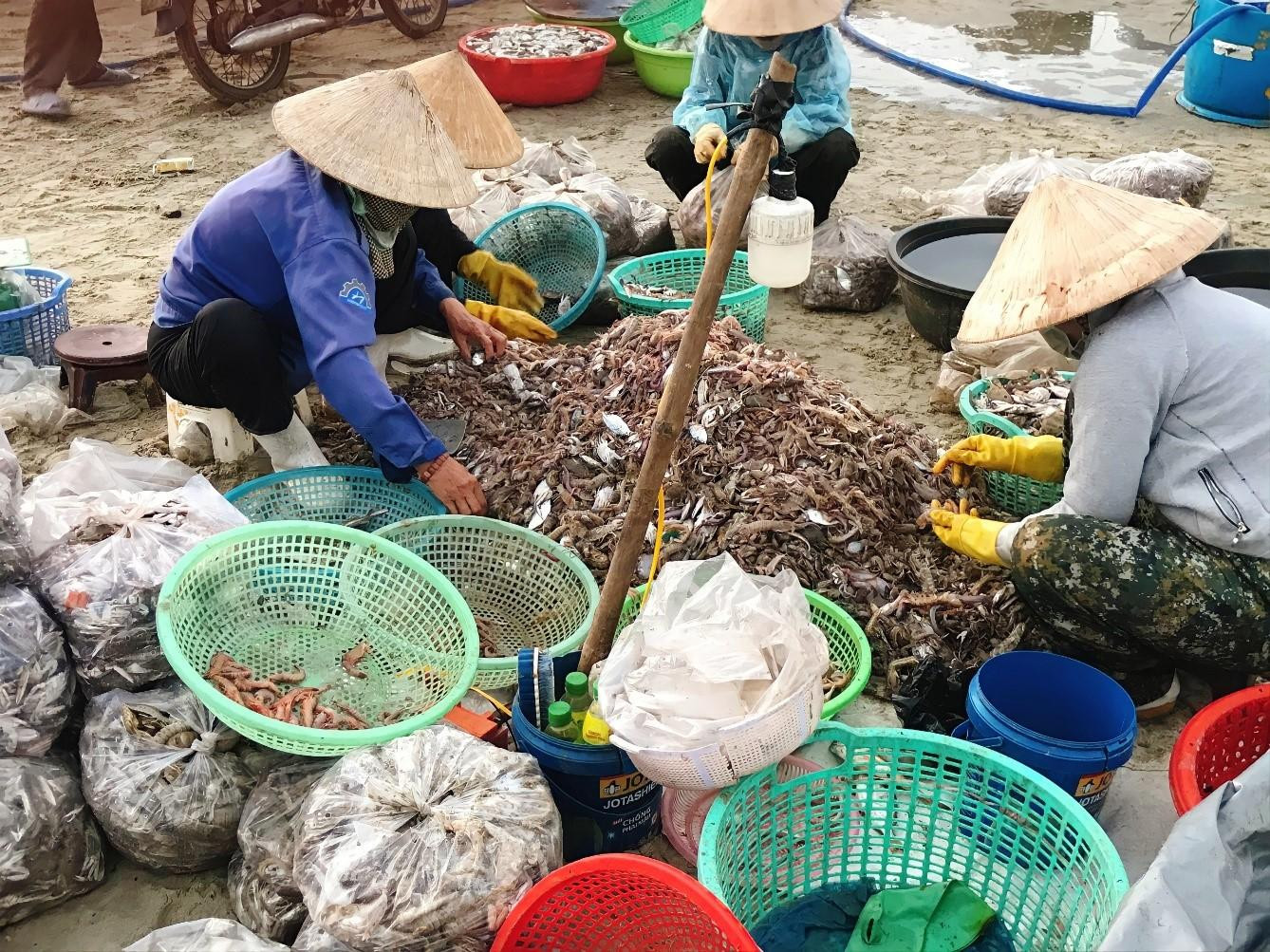 Các bà, các cô đang phân loại tôm, ghẹ để lựa ra những con tươi ngon nhất. Ảnh: Thu Hương Các bà, các cô đang phân loại tôm, ghẹ để lựa ra những con tươi ngon nhất. Ảnh: Thu Hương