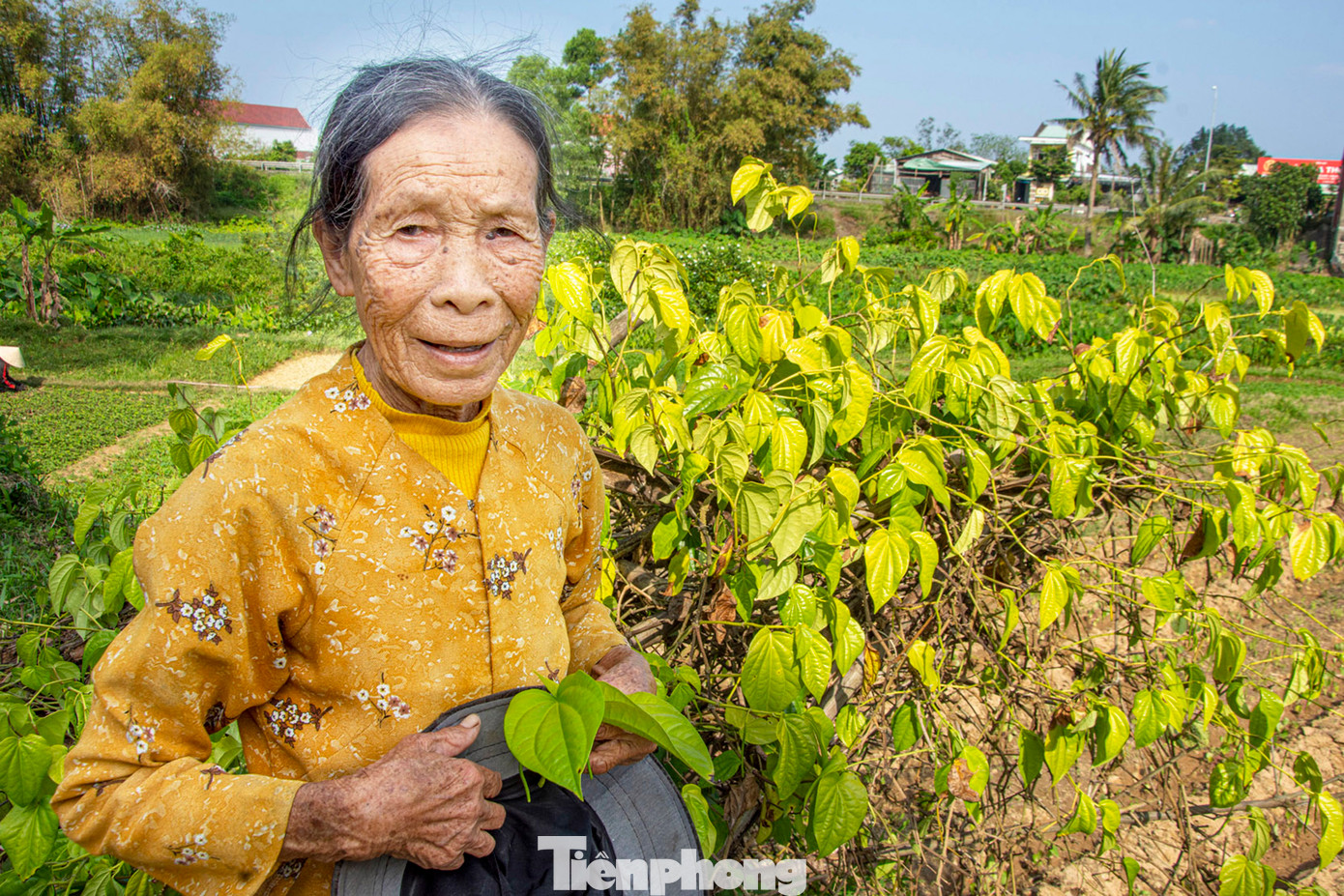 Cụ bà Lê Thị Chánh từng có chồng theo lệ cha mẹ đặt đâu thì con ngồi đó. Ảnh: Văn Chương.