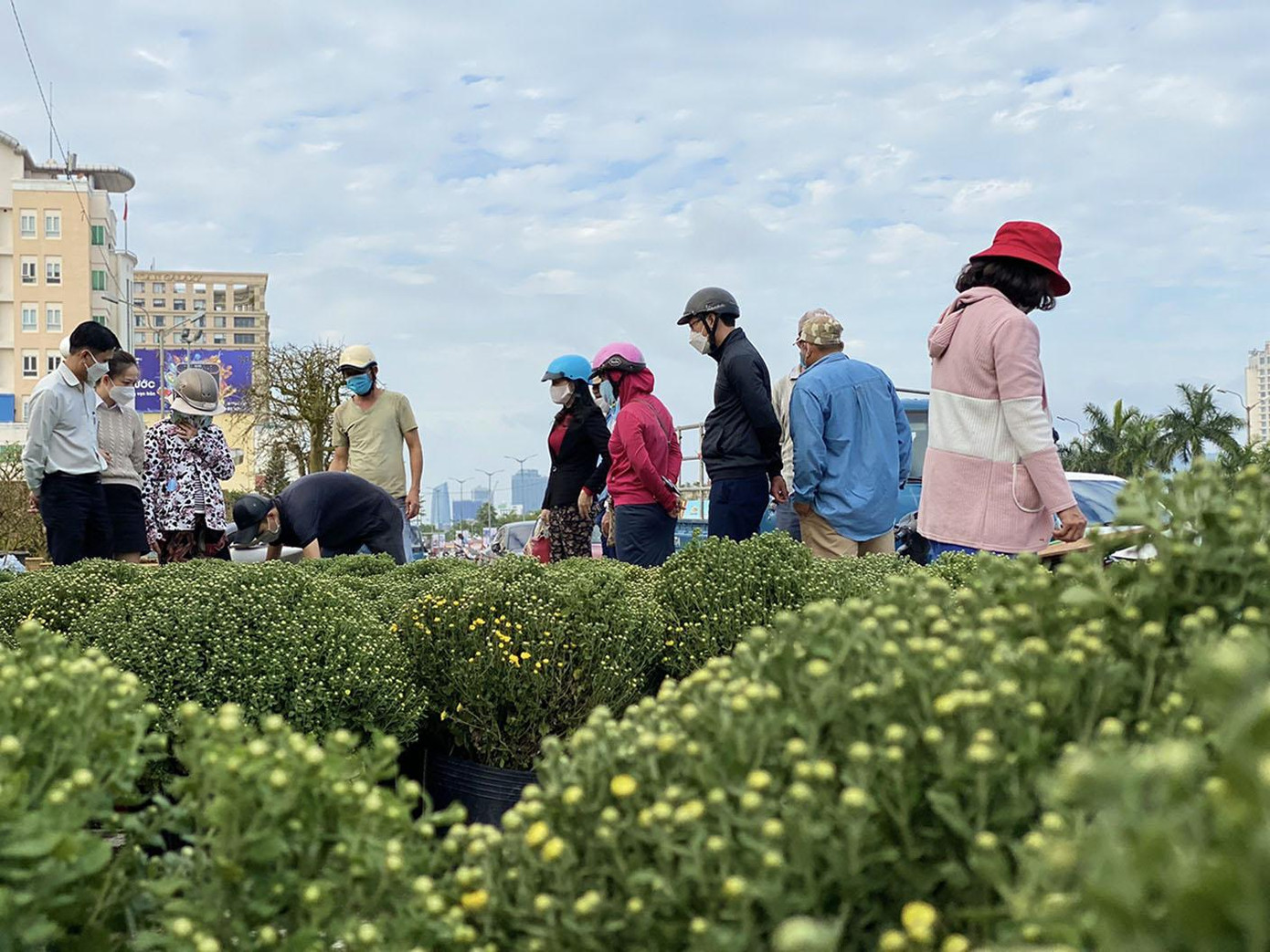 Năm nay, chợ hoa có tổng cộng 387 lô, trung bình mỗi lô có diện tích khoảng 40m2 (bề ngang 2m, dài 20m) có giá cho thuê mỗi lô từ 2,8 triệu đến trên 4 triệu. Trong đó, có 164 lô đấu thầu có vị trí đẹp; 165 lô hạng A có vị trí mặt tiền đối diện với Quảng trường và 57 lô B tại khu vực Quảng trường mở rộng (các hướng còn lại); không bố trí lô C như mọi năm. Năm nay, chợ hoa có tổng cộng 387 lô, trung bình mỗi lô có diện tích khoảng 40m2 (bề ngang 2m, dài 20m) có giá cho thuê mỗi lô từ 2,8 triệu đến trên 4 triệu. Trong đó, có 164 lô đấu thầu có vị trí đẹp; 165 lô hạng A có vị trí mặt tiền đối diện với Quảng trường và 57 lô B tại khu vực Quảng trường mở rộng (các hướng còn lại); không bố trí lô C như mọi năm.