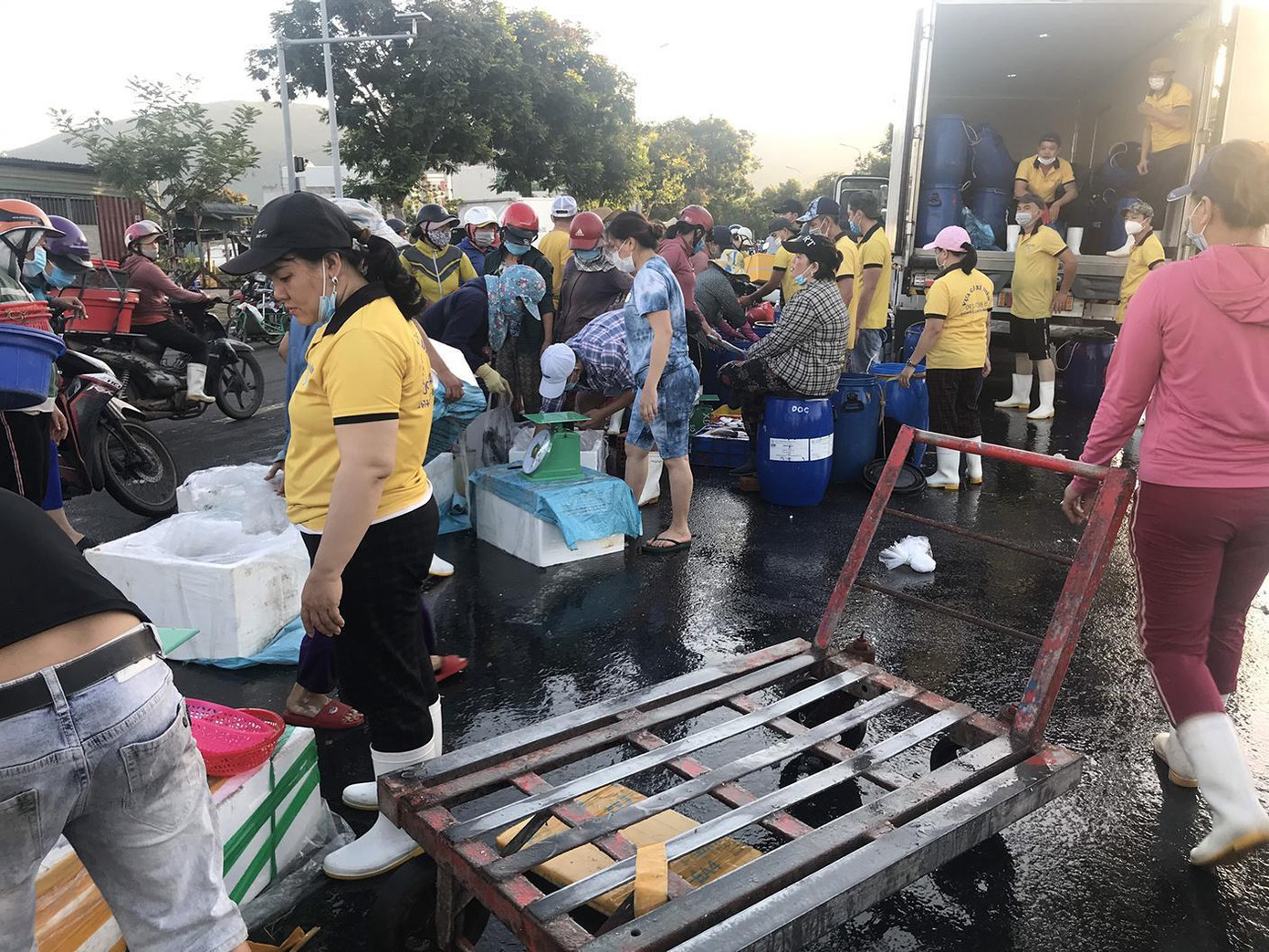 Sáng nay 29/6, do có 5 trường hợp mắc COVID-19 ở tỉnh Quảng Ngãi từng buôn bán ở cảng cá Thọ Quang, Ban quản lý Cảng cá đã có thông báo đóng cửa cảng, truy vết dịch tễ. - Ảnh: Thái Lâm Sáng nay 29/6, do có 5 trường hợp mắc COVID-19 ở tỉnh Quảng Ngãi từng buôn bán ở cảng cá Thọ Quang, Ban quản lý Cảng cá đã có thông báo đóng cửa cảng, truy vết dịch tễ. - Ảnh: Thái Lâm