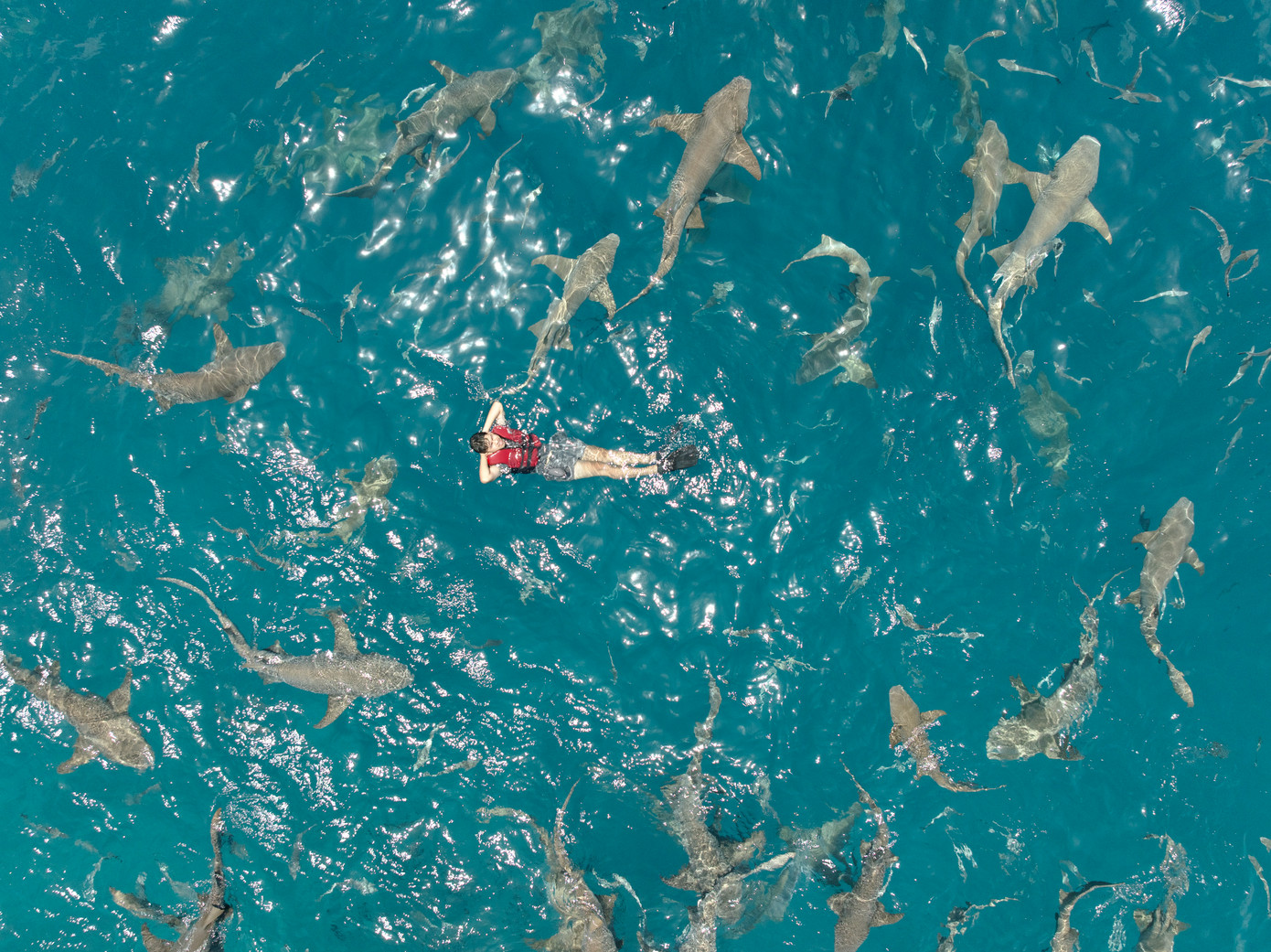 Chàng trai 27 tuổi hòa mình vào thiên nhiên tại Maldives