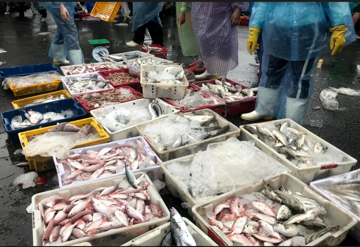 Thực phẩm dự trữ cho những ngày mưa gió - Ảnh Th.L