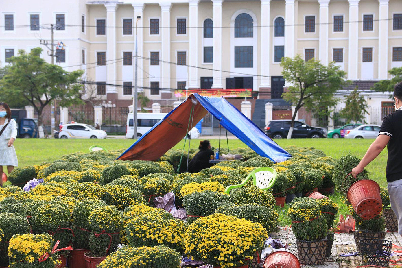 Mai vàng, cúc mâm xôi, quất, kim ngân lượng, đỗ quyên, phát tài giáng long… Không khí Tết đã bắt đầu "tràn" xuống phố khoe sắc chờ khách tới. Mai vàng, cúc mâm xôi, quất, kim ngân lượng, đỗ quyên, phát tài giáng long… Không khí Tết đã bắt đầu "tràn" xuống phố khoe sắc chờ khách tới.