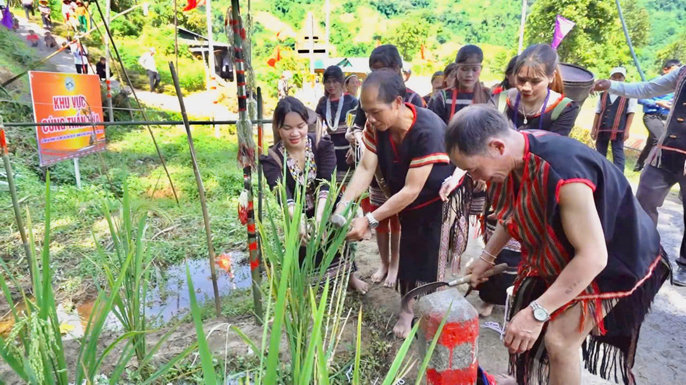 Các thành viên tham gia nghi thức cúng và cắt lúa mang về mặc đồ truyền thống đeo cườm, vòng đeo tay, mang gùi trên lưng.
