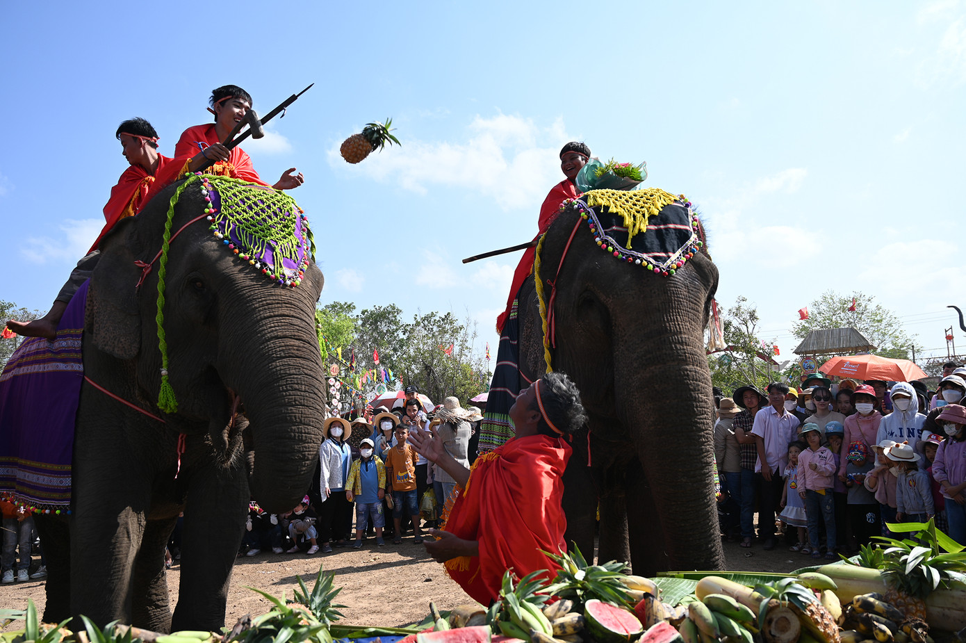 Đại tiệc buffet của các chú voi Bản Đôn (Ảnh: Huỳnh Như) Đại tiệc buffet của các chú voi Bản Đôn (Ảnh: Huỳnh Như)
