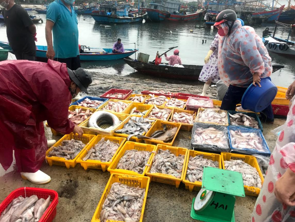 Chị Nguyệt, người dân tổ 55, phường Nại Hiên Đông, quận Sơn Trà) cho biết; "Thấy thuyền về, tôi ra mua được rất nhiều cá tươi và rẻ. Mức giá dao động trong khoảng 20k- 150k tùy theo loại" - Ảnh Th.L