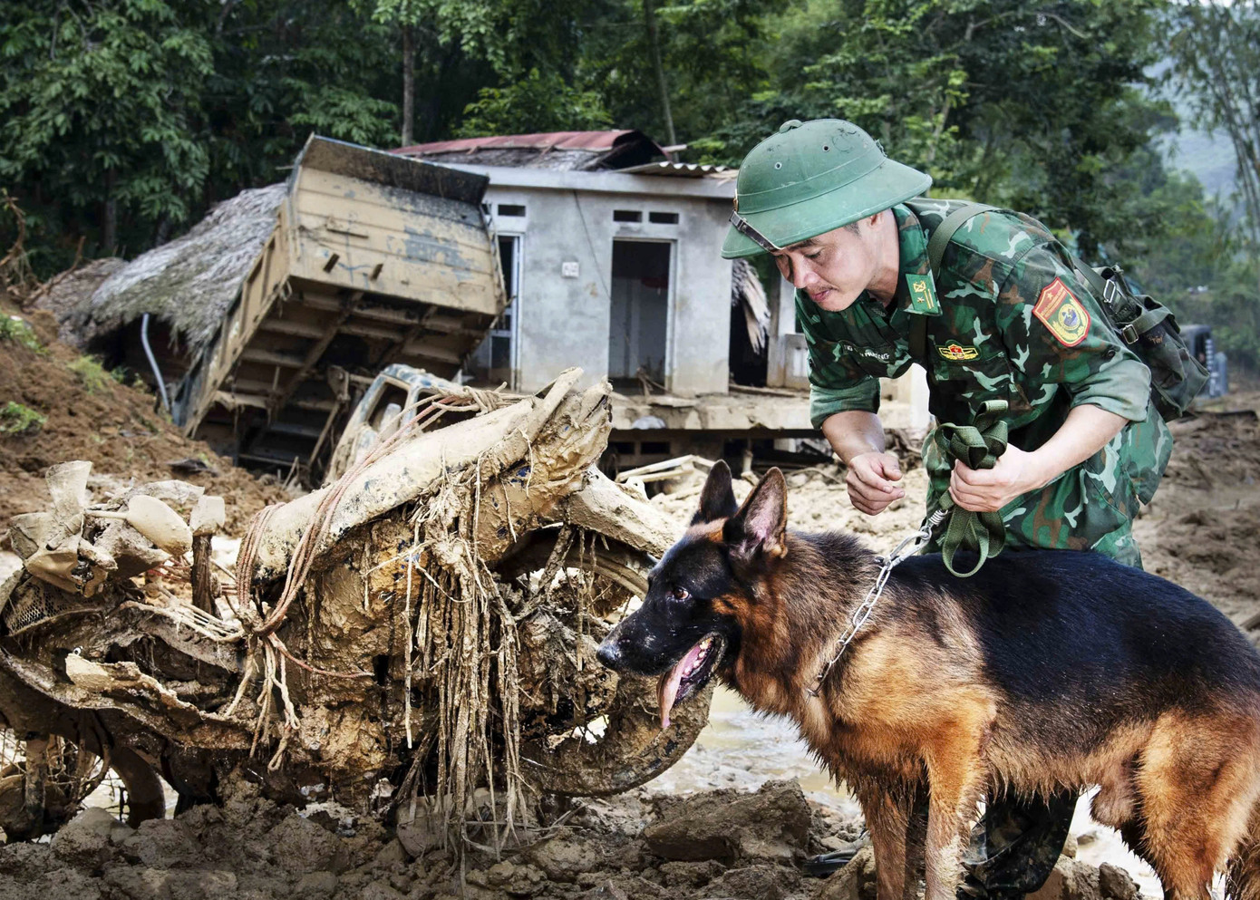 Chó nghiệp vụ của Bộ đội biên phòng tiếp tục tiến sâu về hướng Núi Voi. Ảnh: Văn Chương Chó nghiệp vụ của Bộ đội biên phòng tiếp tục tiến sâu về hướng Núi Voi. Ảnh: Văn Chương