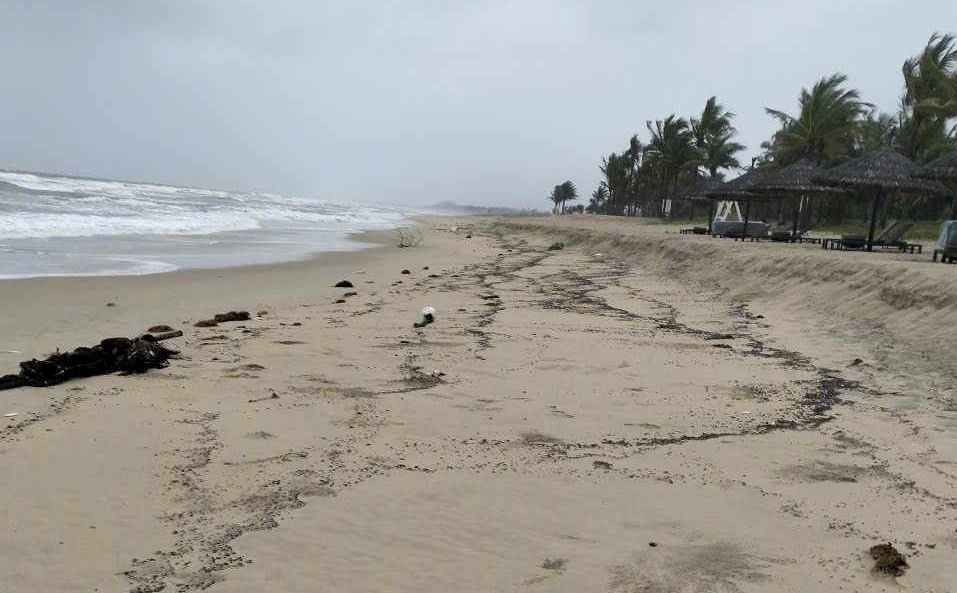 Dầu vón cục xuất hiện dọc 7km bờ biển xã Duy Hải, huyện Duy Xuyên, Quảng Nam. Dầu vón cục xuất hiện dọc 7km bờ biển xã Duy Hải, huyện Duy Xuyên, Quảng Nam.