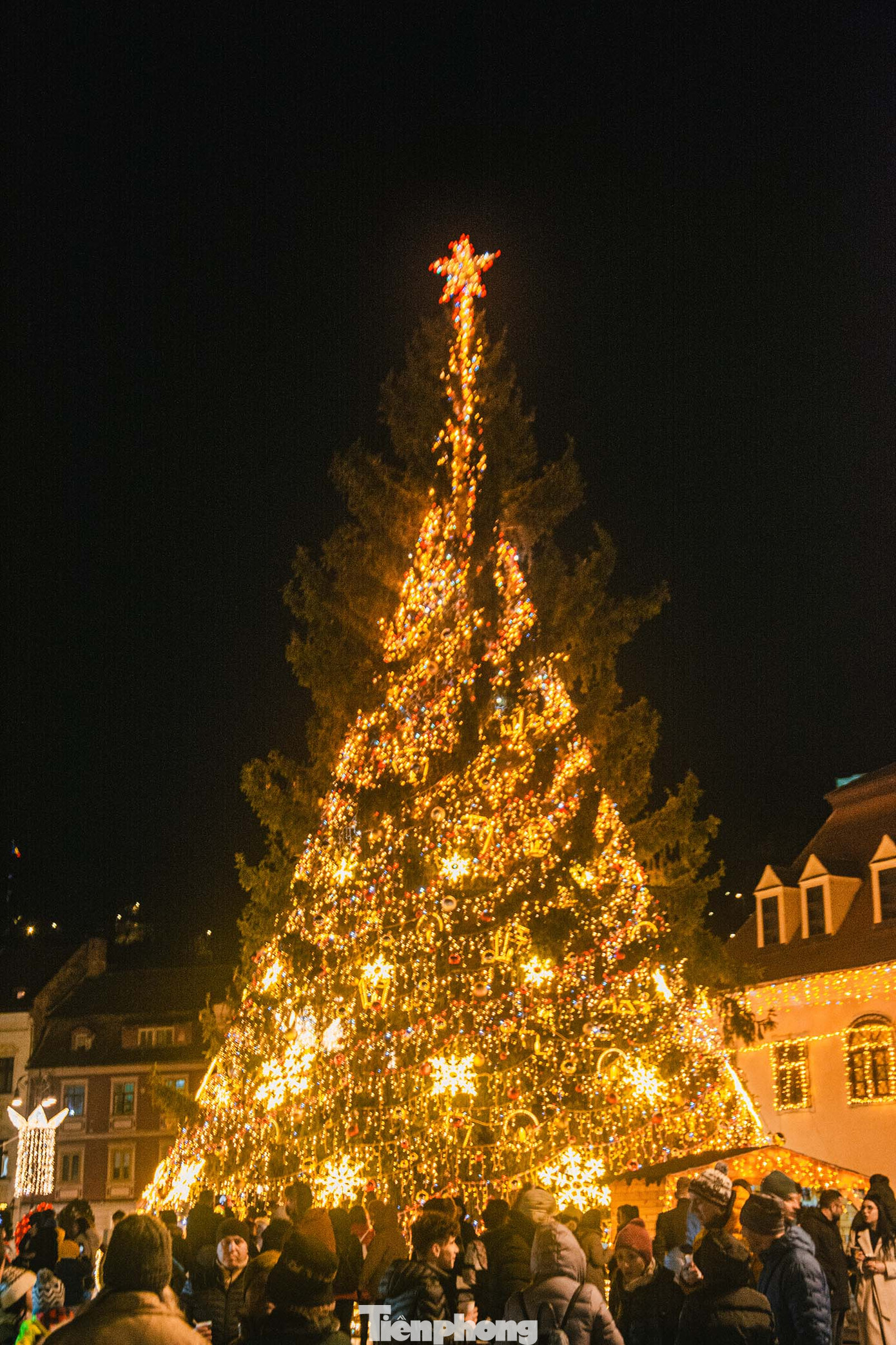 Cây thông Giáng sinh được đặt ngay tại trung tâm Phố Cổ của Brasov. Ngoài ra, còn có thêm 80 cây thông Giáng sinh được làm bằng dây đèn LED rải rác mọi khu vực trong thành phố. Ảnh: Kinh Quốc.