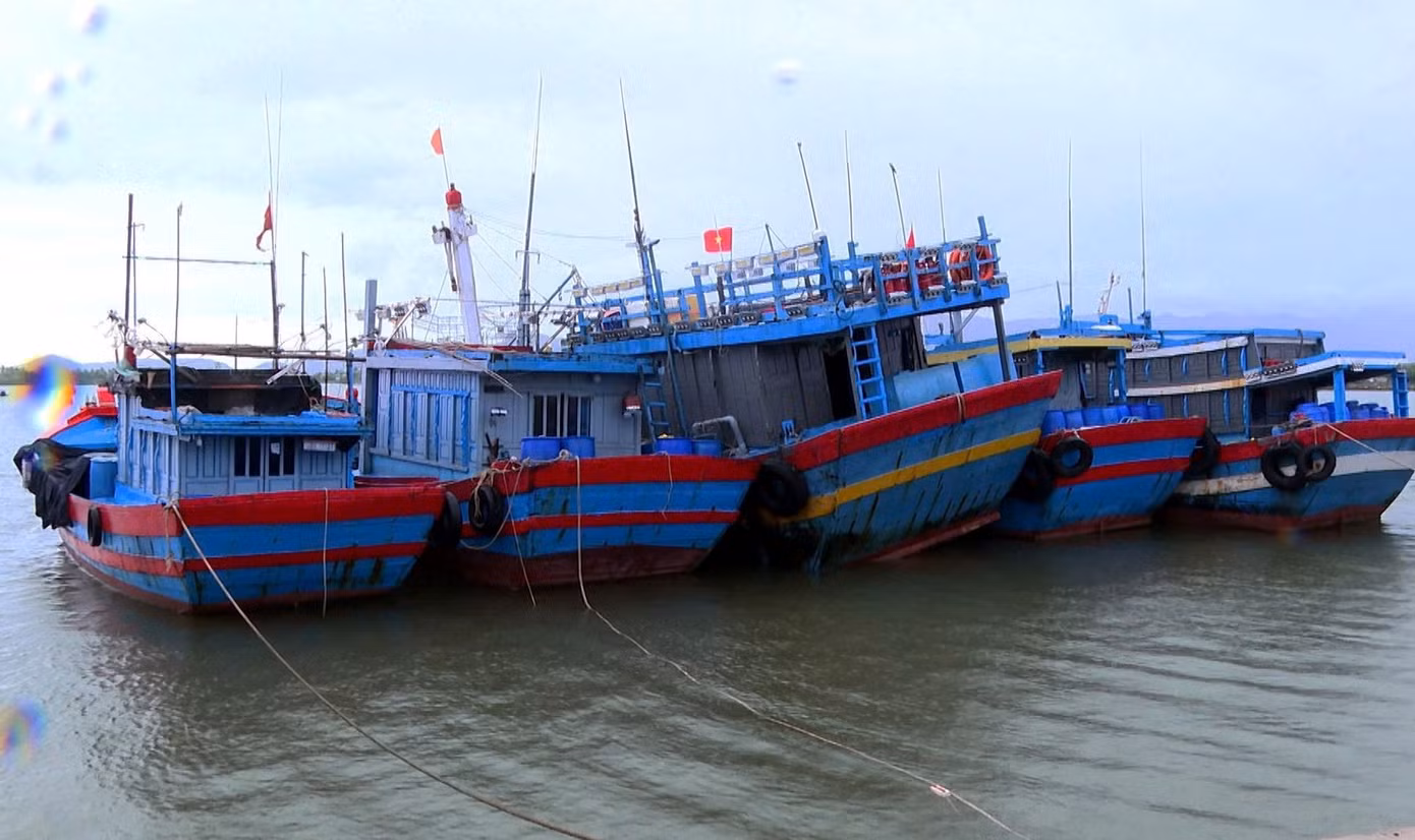 Quảng Nam kêu gọi tàu thuyền vào nơi tránh trú an toàn. Quảng Nam kêu gọi tàu thuyền vào nơi tránh trú an toàn.