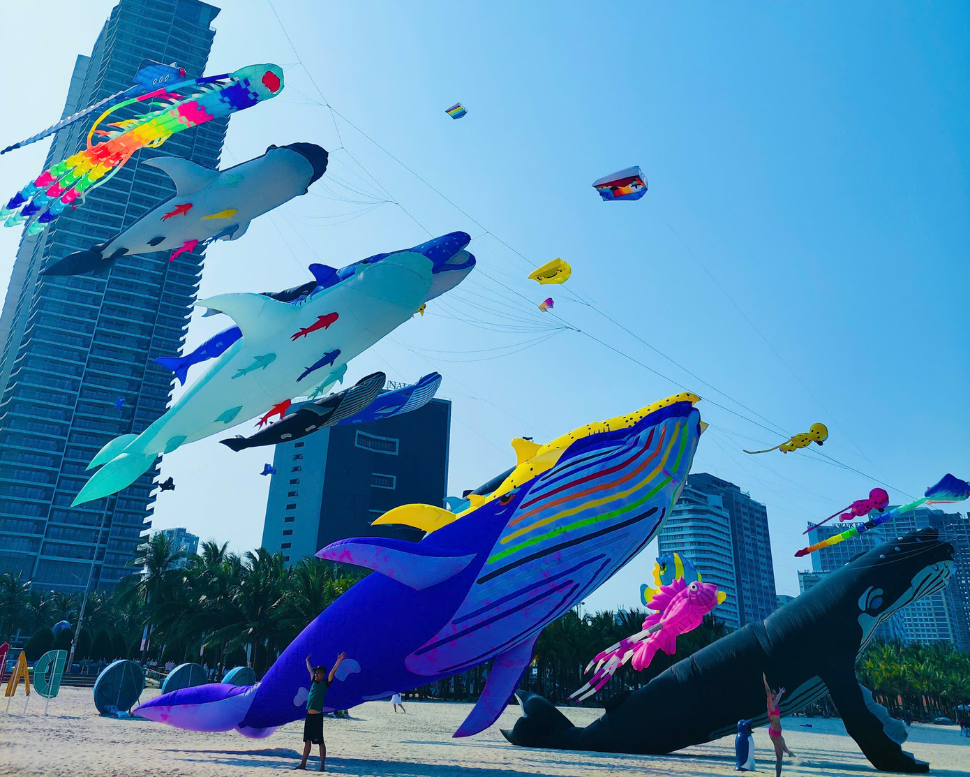 Theo anh Nguyễn Đại (thành viên Phúc Râu Kite Team), mỗi con diều có giá dao động từ vài chục triệu cho hơn trăm triệu đồng.Ảnh: Thanh Ái. Theo anh Nguyễn Đại (thành viên Phúc Râu Kite Team), mỗi con diều có giá dao động từ vài chục triệu cho hơn trăm triệu đồng.Ảnh: Thanh Ái.