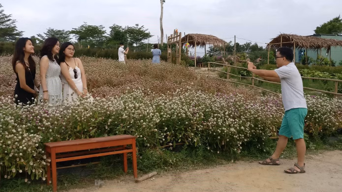 Mỗi ngày vườn hoa của chị Lý đón từ 30 đến 50 lượt khách, dịp cao điểm như cuối tuần hay lễ lượng khách tăng lên 70 lượt mỗi ngày - ảnh Kim Ngân