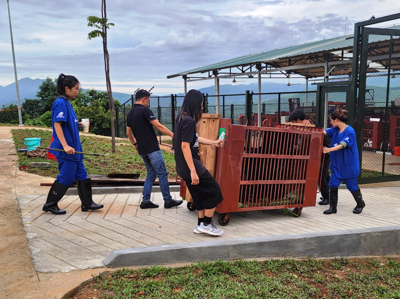 Ngày 4/10, ông Nguyễn Vũ Linh - Giám đốc Vườn Quốc gia (VQG) Bạch Mã, thông tin với PV Tiền Phong: Trung tâm Cứu hộ Gấu Việt Nam II đặt tại VQG Bạch Mã vừa tiếp nhận 2 cá thể gấu đầu tiên, sau khi 2 động vật quý hiếm này được cứu hộ tại Hà Nội và vận chuyển vào TT-Huế. Ngày 4/10, ông Nguyễn Vũ Linh - Giám đốc Vườn Quốc gia (VQG) Bạch Mã, thông tin với PV Tiền Phong: Trung tâm Cứu hộ Gấu Việt Nam II đặt tại VQG Bạch Mã vừa tiếp nhận 2 cá thể gấu đầu tiên, sau khi 2 động vật quý hiếm này được cứu hộ tại Hà Nội và vận chuyển vào TT-Huế.