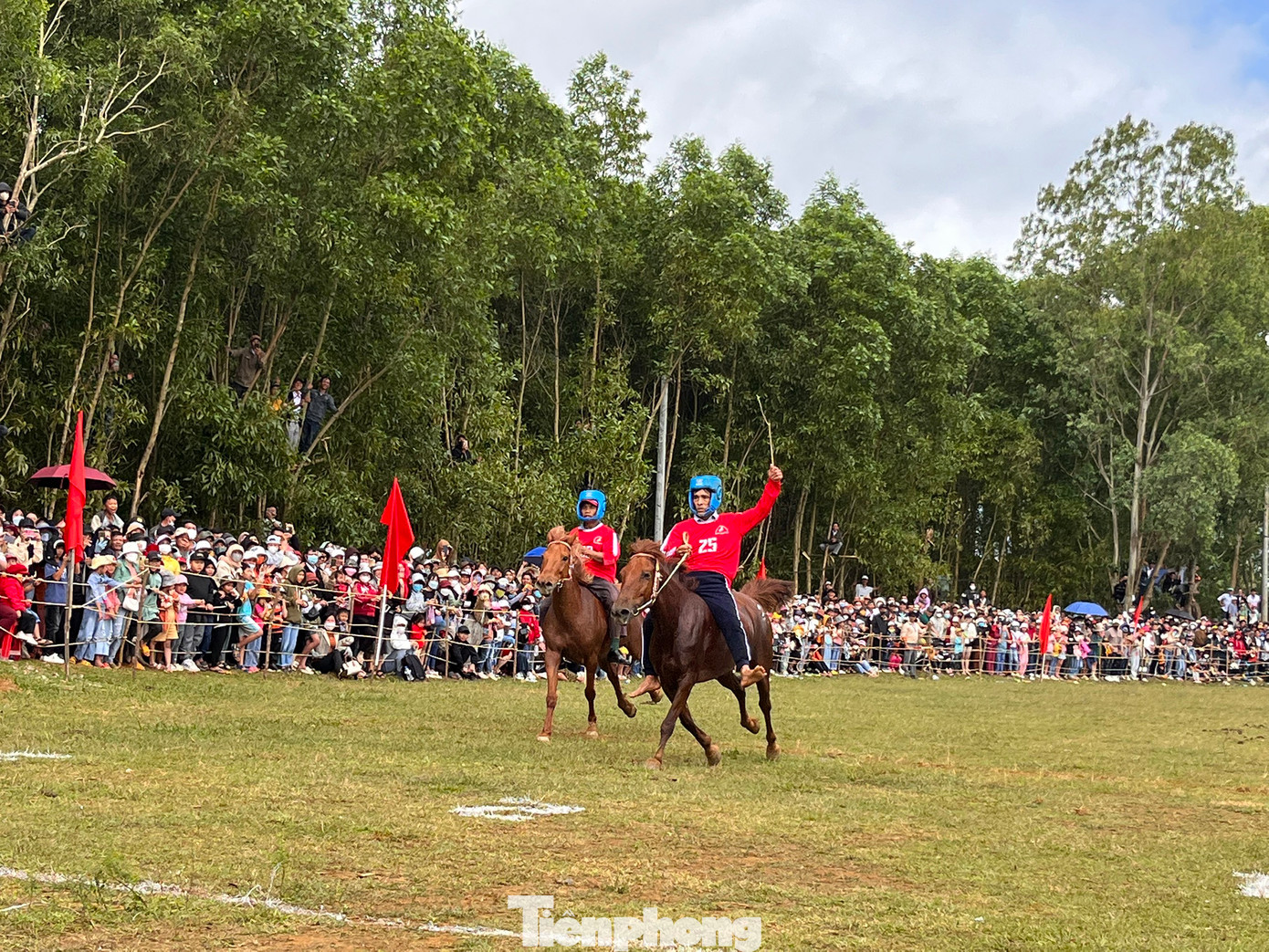 32 chú ngựa lần lượt tranh tài ở vòng loại với 8 vòng đua, mỗi vòng 4 ngựa. Sau đó chọn ra 8 ngựa đua về nhất ở 8 vòng bước vào bán kết với 2 vòng đua, mỗi vòng 4 ngựa.