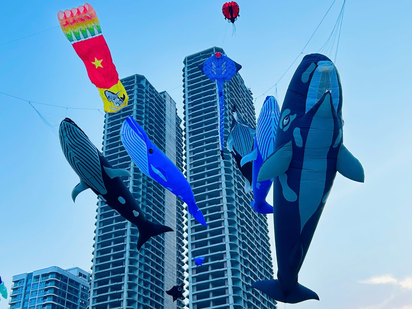 Chị Nguyễn Huỳnh Ngọc Thảo, du khách đến từ Huế hứng thú chia sẻ: “Quy mô thả diều rất là lớn, những con diều có kích thước rất to và có nhiều hình thù độc đáo, rất thu hút trẻ con. Em gái của mình cũng rất hứng thú đối với những con diều này. Đây cũng là điểm ấn tượng có thể thu hút du khách trong dịp khai trương du lịch biển năm nay”. Ảnh: Thanh Ái. Chị Nguyễn Huỳnh Ngọc Thảo, du khách đến từ Huế hứng thú chia sẻ: “Quy mô thả diều rất là lớn, những con diều có kích thước rất to và có nhiều hình thù độc đáo, rất thu hút trẻ con. Em gái của mình cũng rất hứng thú đối với những con diều này. Đây cũng là điểm ấn tượng có thể thu hút du khách trong dịp khai trương du lịch biển năm nay”. Ảnh: Thanh Ái.