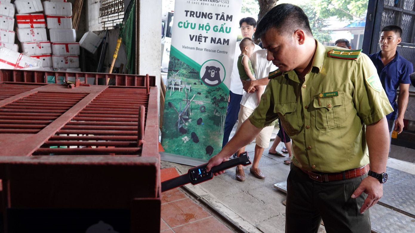 Theo nhận định của các chuyên gia, 2 cá thể gấu đều rất linh hoạt, đáp ứng tốt với tương tác của các chuyên gia chăm sóc gấu và nhanh chóng bước sang lồng vận chuyển. Theo nhận định của các chuyên gia, 2 cá thể gấu đều rất linh hoạt, đáp ứng tốt với tương tác của các chuyên gia chăm sóc gấu và nhanh chóng bước sang lồng vận chuyển.