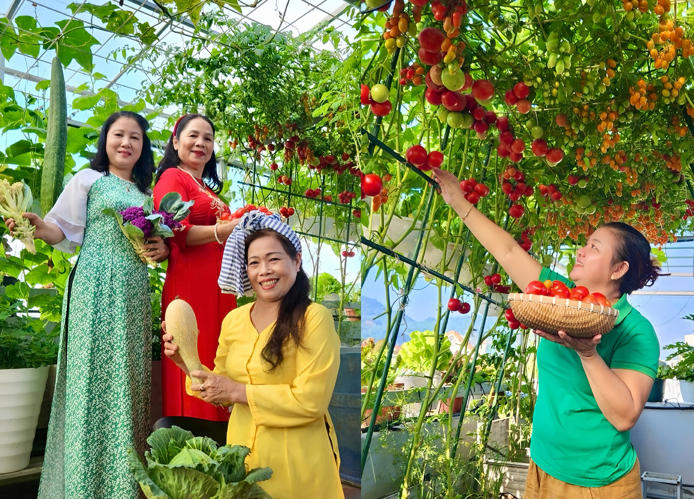 Khu vườn trở thành “view triệu đô” ngày nào cũng có khách muốn ghé check-in. Ảnh: NVCC.