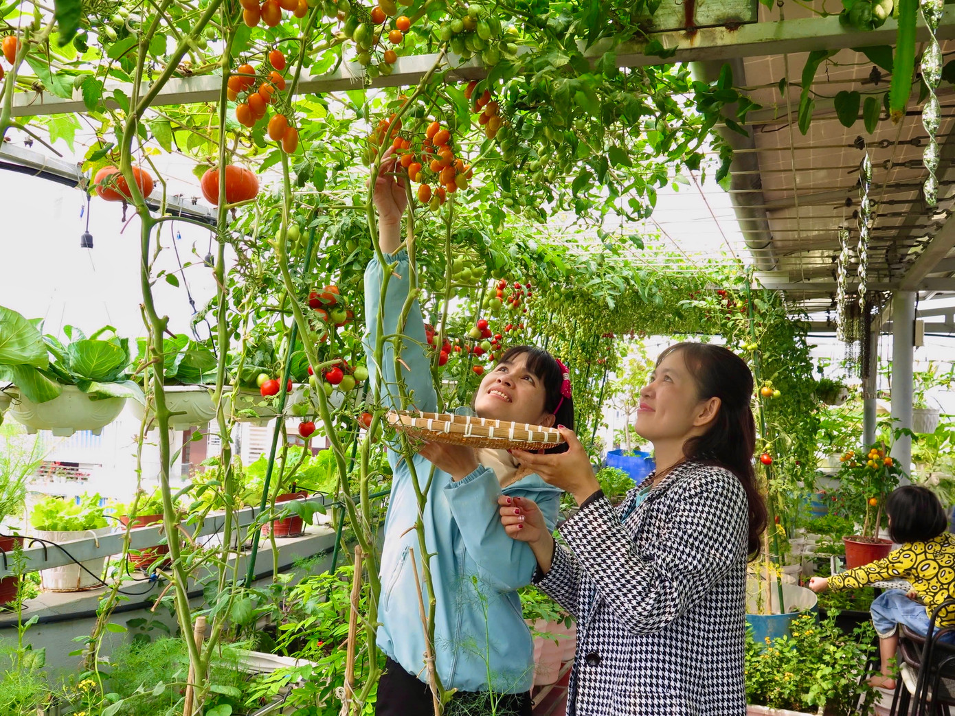 Chị Phạm Thị Nhàn (bên trái) nhân ngày nghỉ cùng con đến thăm vườn chị Luy, bày tỏ: “Thấy Luy trồng tôi cũng “ham” mà chưa có thời gian làm. Rau trái trồng hữu cơ thế này vừa sạch, vừa an toàn, lại thân thiện với môi trường, tự nhiên cũng muốn có cho mình cái vườn nhỏ, khi ấy lại qua đây học tập “bà trùm nông sản” này”. Ảnh: Ngọc Thắm.