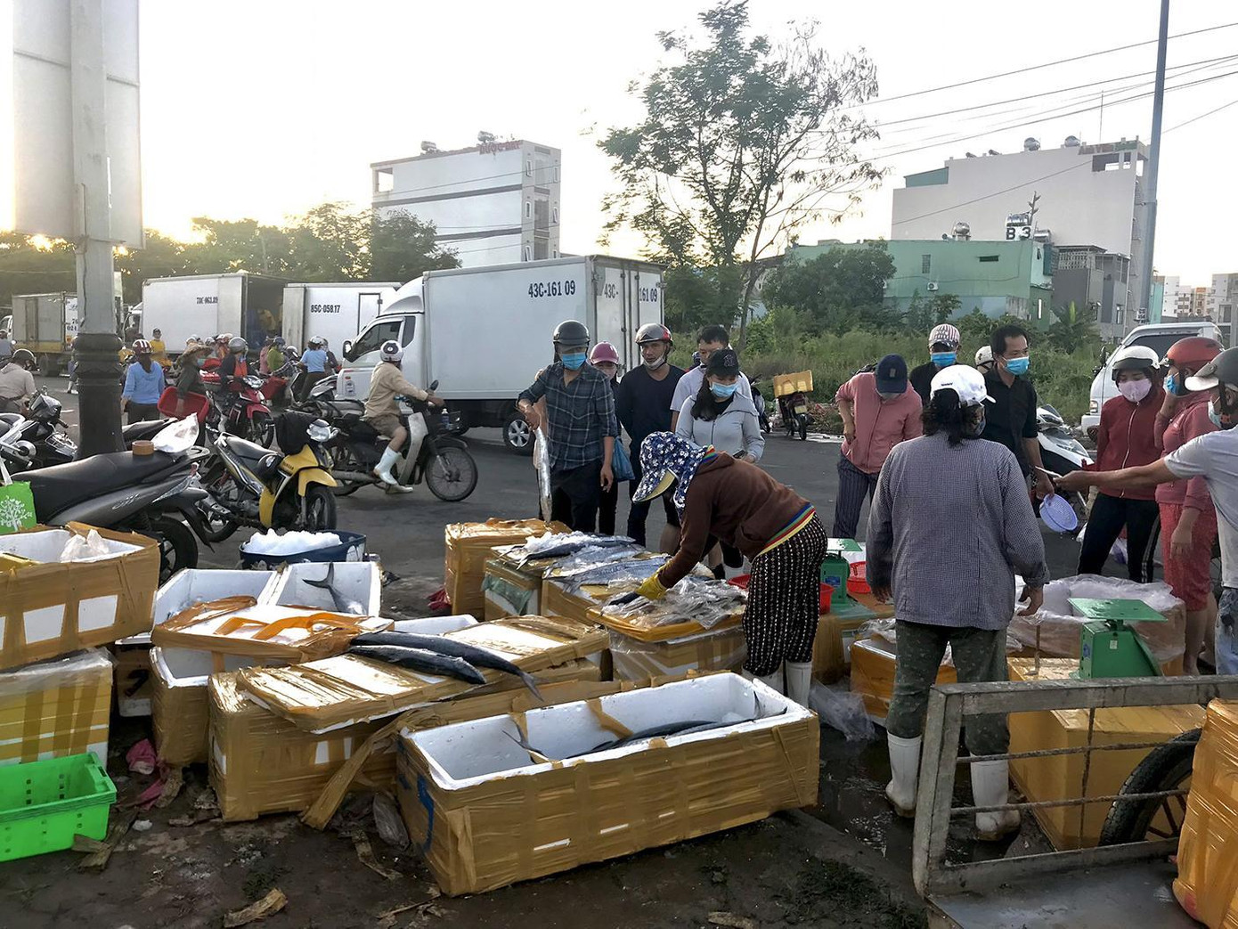 Cảng cá Thọ Quang là nơi tập trung đông đúc các dân buôn cũng như tiểu thương buôn bán cá ở các chợ khác nhau. Cảng cá Thọ Quang là nơi tập trung đông đúc các dân buôn cũng như tiểu thương buôn bán cá ở các chợ khác nhau.