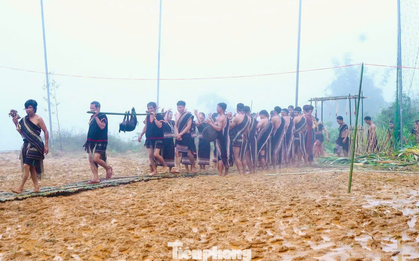 Kết thúc lễ cúng Thần Núi, bà con khiêng các lễ vật quay về nhà rông và già làng sẽ phân chia thịt cho các gia đình.