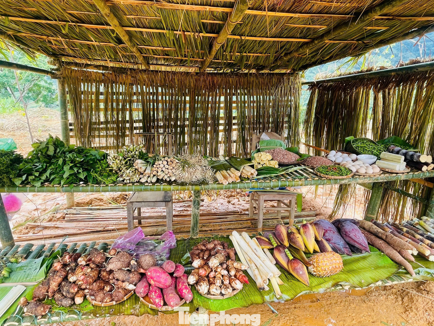 Ngoài ra còn nhiều món đặc sản khác tại các gian hàng trưng bày mà bà con và du khách có thể mua về làm quà.