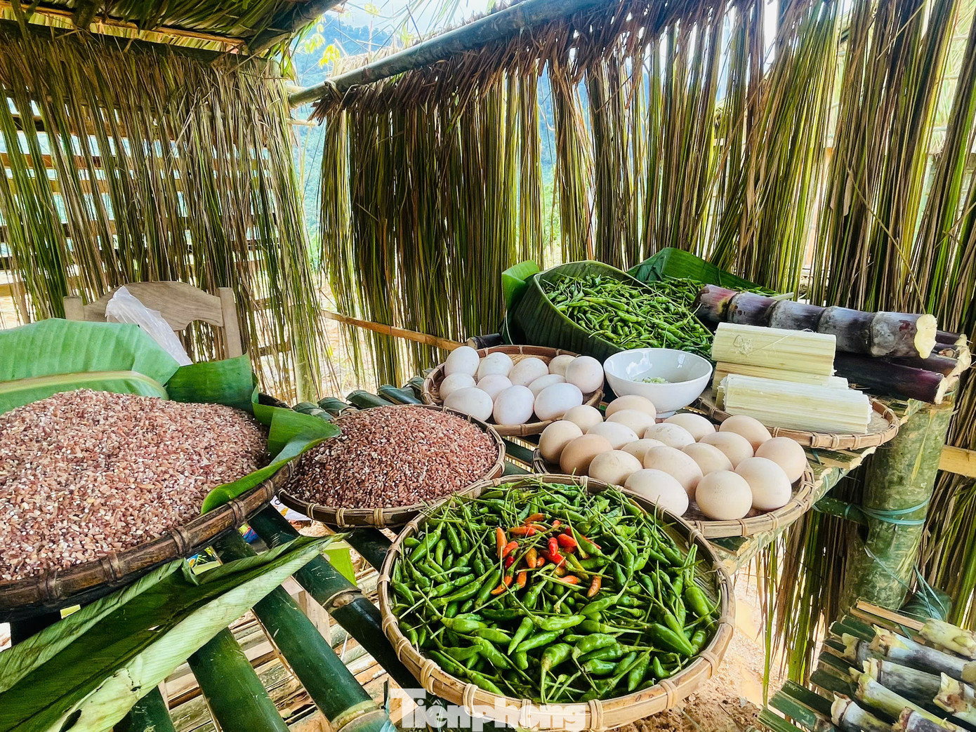 Những món ăn giàu bản sắc vùng cao như cá niên, sùng lồ ô, thịt sóc nướng ống, ốc núi… trong phần thi ẩm thực.